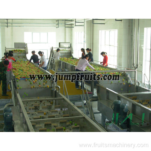 Banana Processing Line For Banana Chips